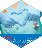 aorta